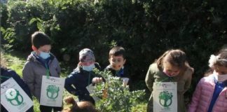 Carbon Negative, piantare radici per le generazioni future Carbon Negative