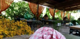 Tipicità, erbe di San Giovanni e riti rurali