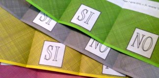 Il fallimento dei Referendum e quello di Salvini